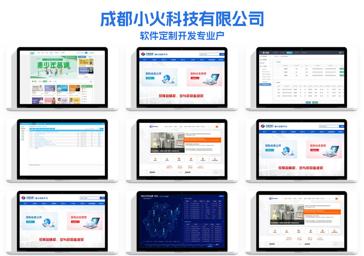 軟件開發公司